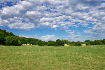 Fototapeta premium A vibrant summer day unfolds over a tranquil countryside landscape with hay bales and lush fields.