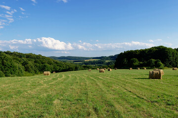 A picturesque scene of a green field dotted with hay bales under a bright blue sky.