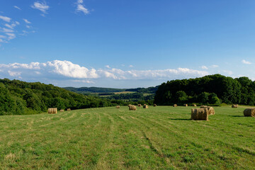 Scenic view of a green field with hay bales under a bright blue sky with clouds.