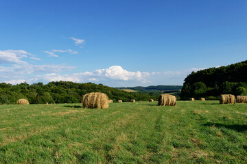 A beautiful summer day in a countryside field filled with hay bales under a bright blue sky.