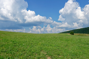 The image depicts a picturesque landscape of a green field and blue sky with white clouds.