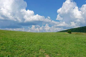 Fototapeten Wohnzimmer The image depicts a picturesque landscape of a green field and blue sky with white clouds.  © Levente Varga