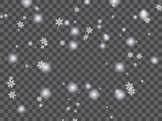 Christmas Falling Snow Particles on Transparent Background | Realistic Falling Snow Overlay Vector with Transparent Background