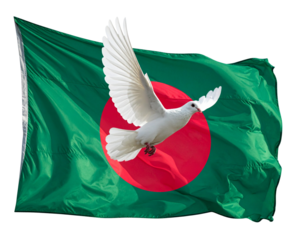 Symbolic Dove of Peace with National Bangladesh Flag – Transparent Background.
