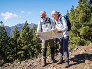 A cheerful, senior Caucasian couple wearing hiking gear and backpacks pauses on a sunny mountain trail, smiling as they look at a detailed map among pine trees and rocky terrain.