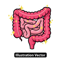 Vibrant Vector Illustration of Healthy Human Intestines, Depicting Optimal Gut Wellness and Digestive Purity