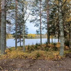Obraz premium Autumn forest by a calm lake in Nordic landscape