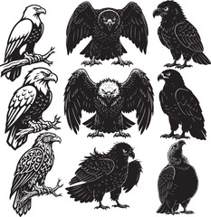 Bird of Prey Illustration Set with Eagles, Owls, and Ravens