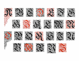 Decorative alphabet letter design with artistic and ornate typography and detailed linework.