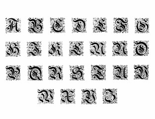 Decorative alphabet letter design with artistic and ornate typography and detailed linework.