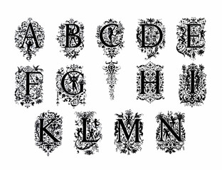 Decorative alphabet letter design with artistic and ornate typography and detailed linework.