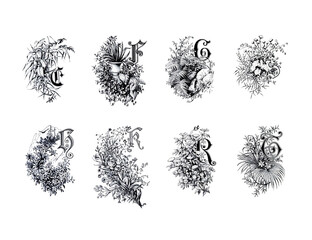 Decorative alphabet letter design with artistic and ornate typography and detailed linework.