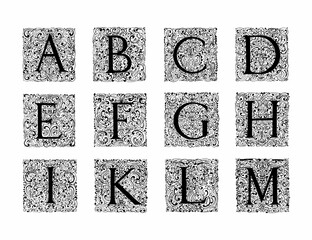 Decorative alphabet letter design with artistic and ornate typography and detailed linework.