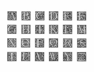 Decorative alphabet letter design with artistic and ornate typography and detailed linework.