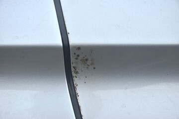 paint car scratch from expire on silver color car background and texture