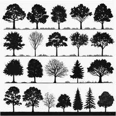 Fototapeta premium this-image-displays-a-collection-of-25-black-tree-