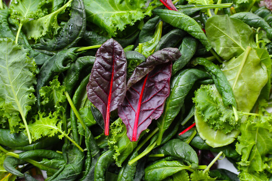 Mixed of fresh vegetable green leaves, including green kale and red-veined chard on white background.