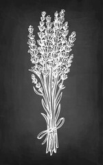 Bundle of lavender tied with twine chalk sketch