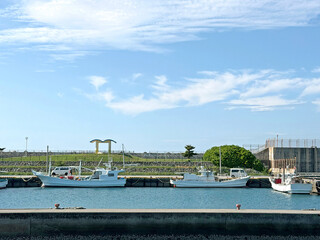 Several white fishing boats docked in a calm harbor under a bright blue sky with scattered clouds