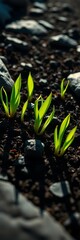 Vibrant green shoots emerge from rich, damp earth, framed by smooth, charcoal stones in a striking low-angle, geometric composition,  geometric,  wet earth