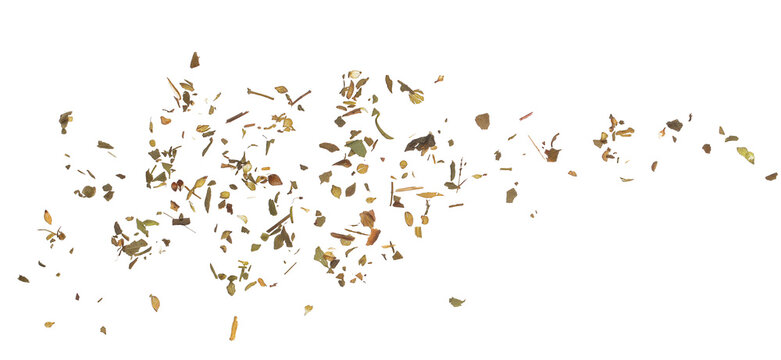 Dried oregano leaves flying, isolated on white background, clipping path, macro