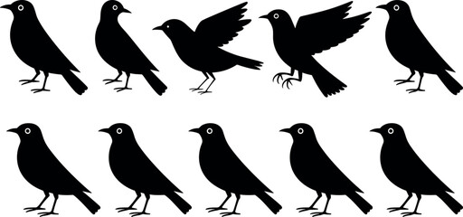 Obraz premium A solitary female photographer captures a majestic sunset over a serene alpine lake