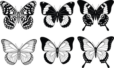 A collection of black and white butterfly illustrations with different wing patterns