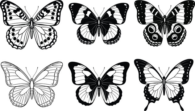 A set of six diverse black and white butterfly illustrations with detailed wing patterns