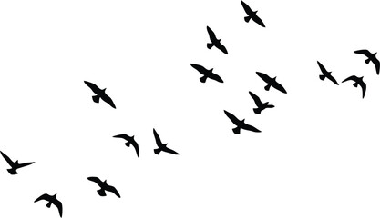 Black silhouette flock of birds flying in the sky, isolated on white background