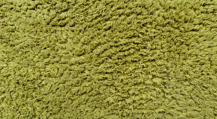 Green fabric texture background with rough woven fibers and detailed surface pattern, suitable for textile, material, abstract, and background design use. © eza