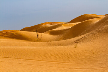 The landscape of the Sahara. The Great Eastern Erg, also known as the Great Eastern Sea of Sand. Field of sand dunes. Sahara, Tunisia, Africa