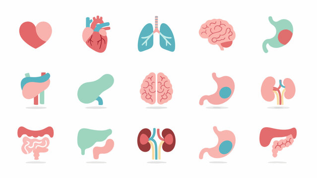 A collection of stylized human organ icons including the heart, brain, lungs, stomach, kidneys, and intestines, rendered in a flat, modern design