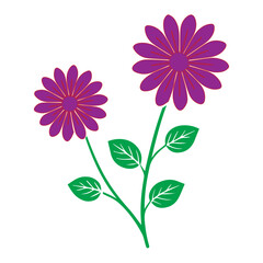Two Purple Flowers with Green Leaves