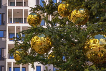  Montenegro, Tivat city. Christmas tree with yellow Christmas balls on sunny winter day after the rain