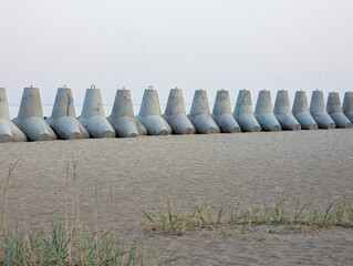 Concrete tetrapods contrast with the soft sand and sea.