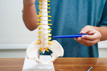 Asian student learning with human bone and spinal nerve model in anatomy biology in classroom at high school.
