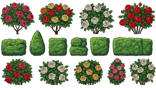 Vector garden blooming bush set, green spring rose hedge collection, shrub landscape objects. Park vegetation illustration, nature floral icons, outdoor decorative elements. Garden bush clipart
