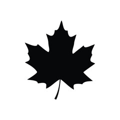Single sugar maple tree silhouette vector flat illustration design.