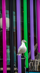 Liverpool, Merseyside, UK.