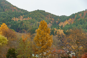 Am Mount fjui in Japan