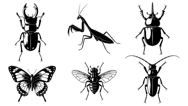 Black and white silhouette collection of insects including beetles, praying mantis, butterfly and