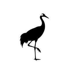 Obraz premium Silhouette of a graceful crane standing on one leg against a white background.