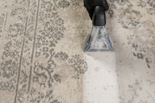 Carpet extractor cleaning dirty patterned rug with visible clean strip