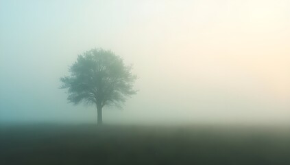 Lonely Tree in the Mist &mdash; Symbol of Peace and Stillness
