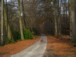 Obraz premium Herbstzeit im Münsterland bei Legden