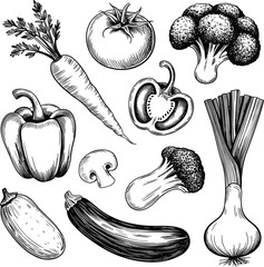 Vegetable sketch, hand-drawn illustration, black and white artwork, tomato, carrot, mushroom, broccoli, bell pepper, onion, zucchini, cucumber