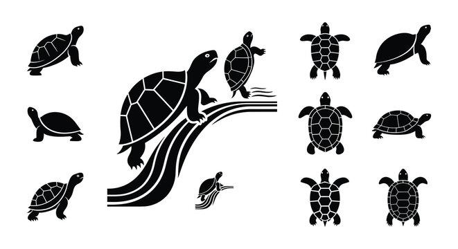 Black and white illustrative design featuring turtles and waterfalls in square frames