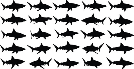Collection of shark silhouettes in different swimming poses isolated on white background, marine predator shapes, ocean wildlife vector illustration
