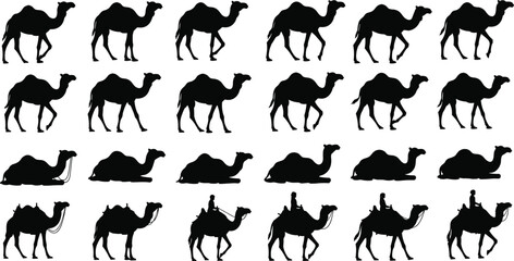Multiple camel silhouettes showing walking sitting and riding poses, desert animal motion sequence, caravan travel and nomadic journey illustration