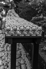 In der N&auml;he von Tokio in Japan